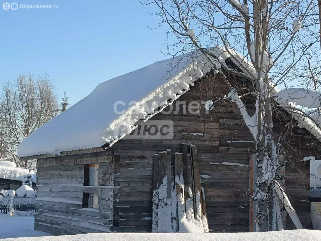 Участок в Сыктывкар, территория Дырносский, СНТ Север (5.5499997 м) - Фото 1