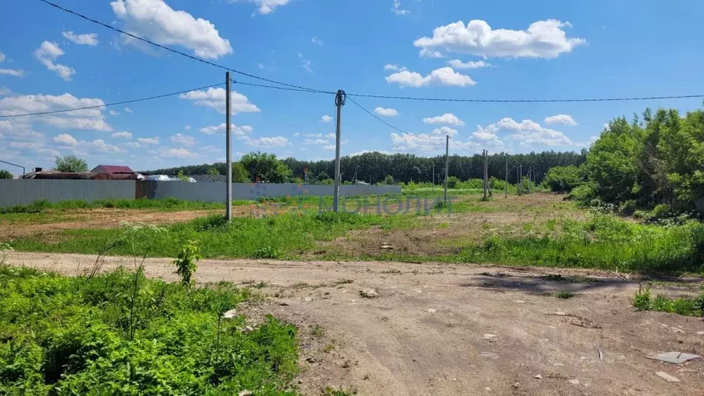 Участок в Нижегородская область, Богородск ул. Лебедевой (50.0 сот.) - Фото 0