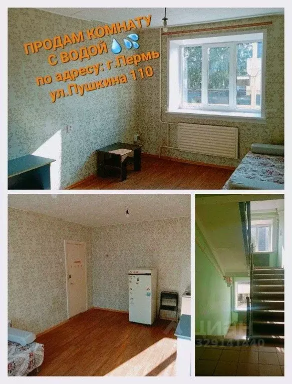 Комната Пермский край, Пермь ул. Пушкина, 110 (18.1 м) - Фото 1