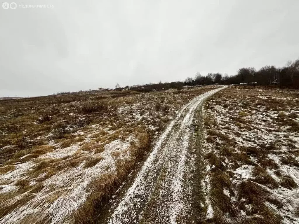 Участок в Московская область, городской округ Серпухов, село Липицы ... - Фото 2