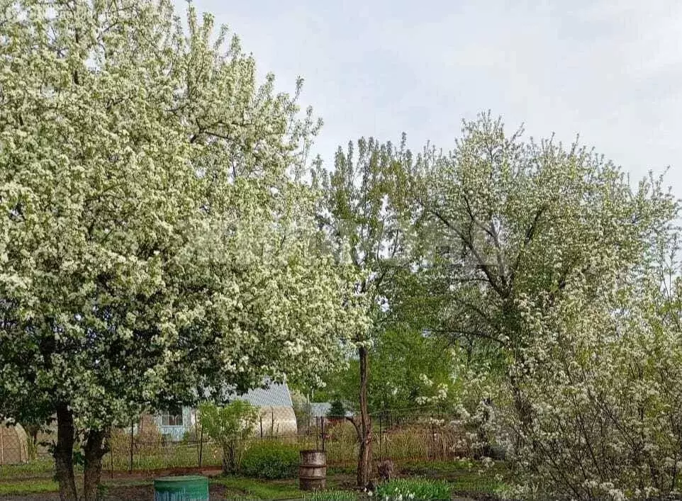 Дом в Новосибирск, садовое товарищество Цветущая Сибирь (20 м) - Фото 0