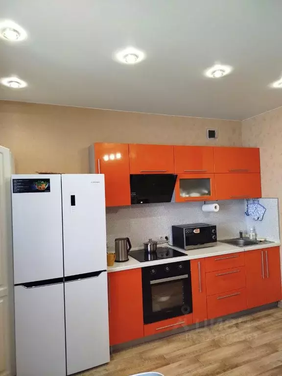 Студия Новосибирская область, Новосибирский район, Каменский ... - Фото 2