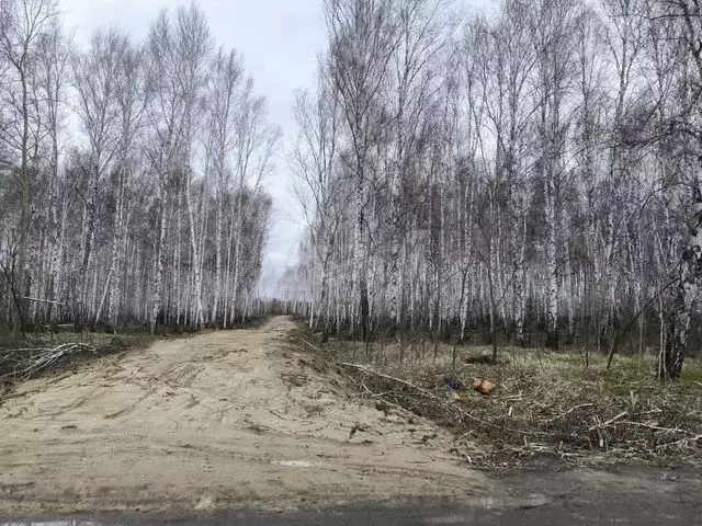 Участок 10 сот. (СНТ, ДНП) - Фото 0