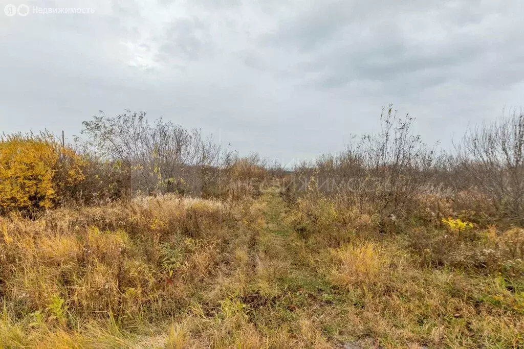 Участок в Тюменский район, деревня Есаулова, Казанская улица (12.5 м) - Фото 0