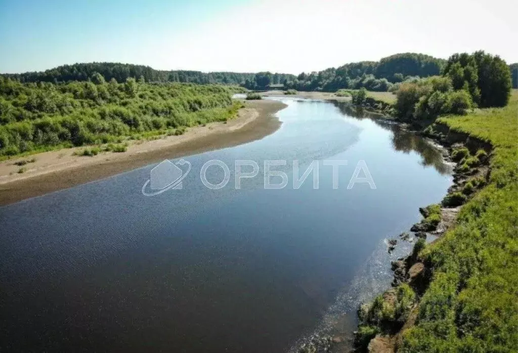 Участок в Свердловская область, Слободо-Туринский район, ... - Фото 1