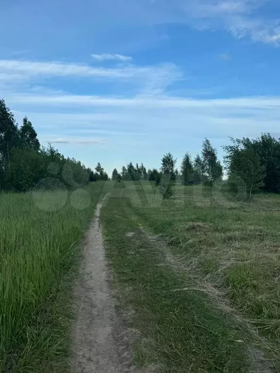 Участок 10,1 сот. (ИЖС) - Фото 1