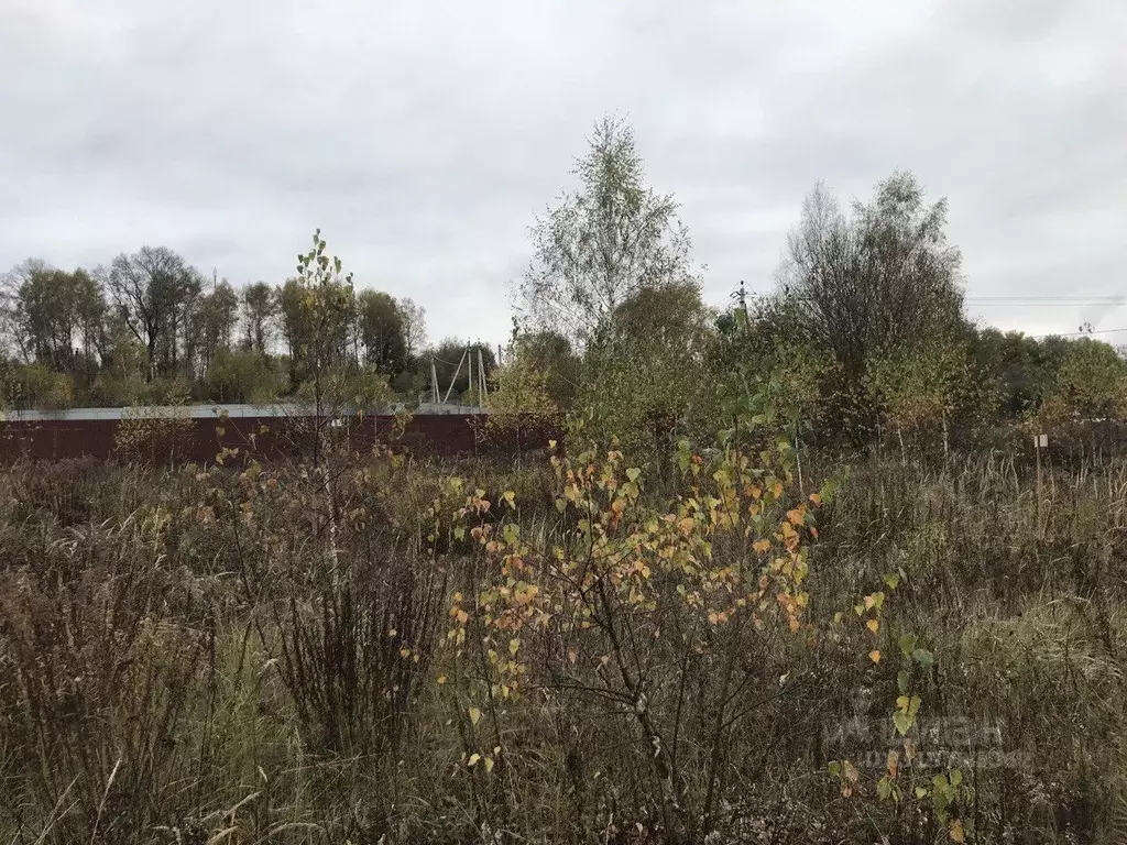 Участок в Московская область, Серпухов городской округ, д. Старые ... - Фото 1