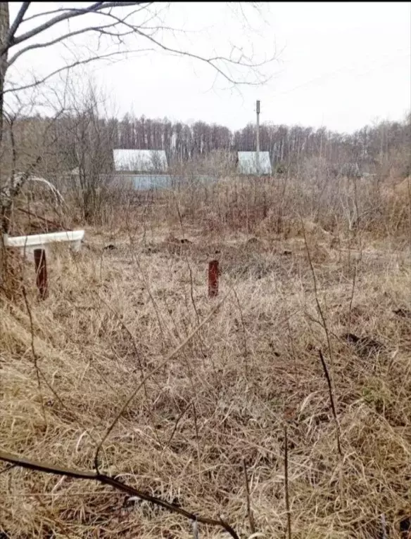 Дом в Башкортостан, Уфа Заозерный СНТ,  (36 м) - Фото 2