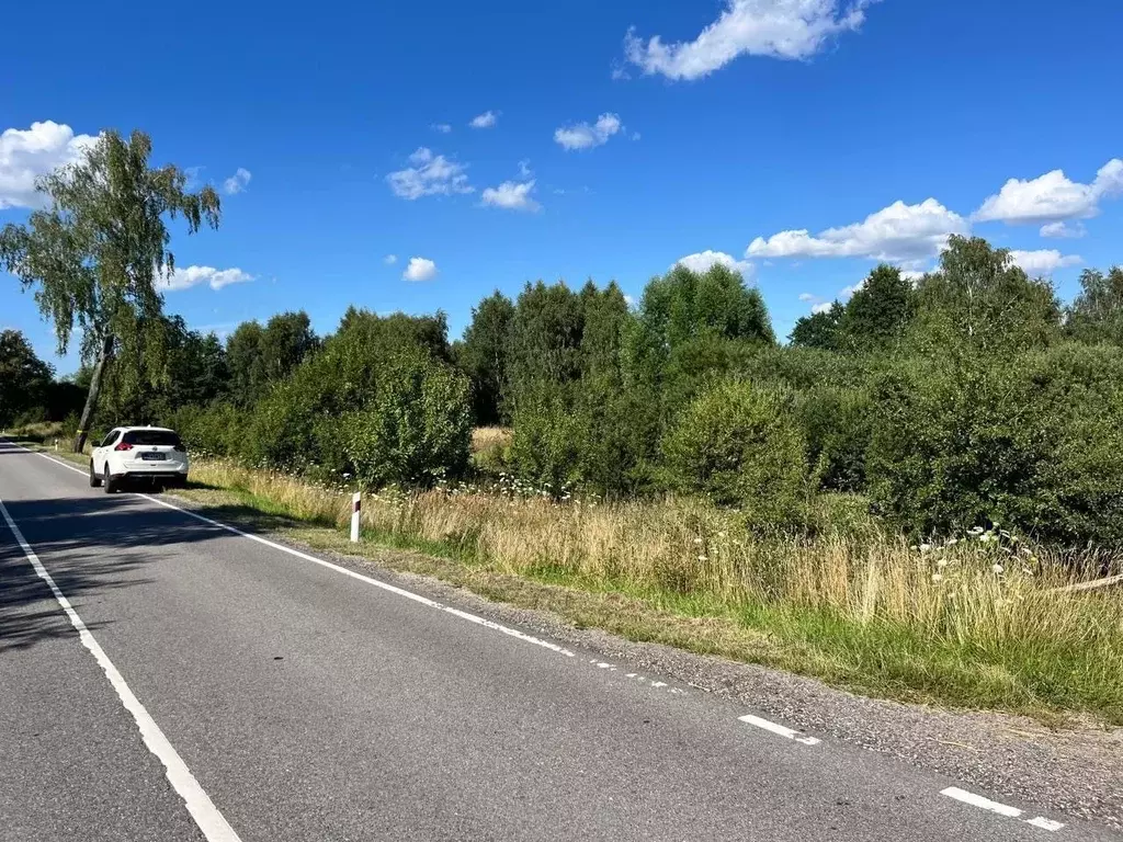 Участок в Калининградская область, Багратионовский муниципальный ... - Фото 1