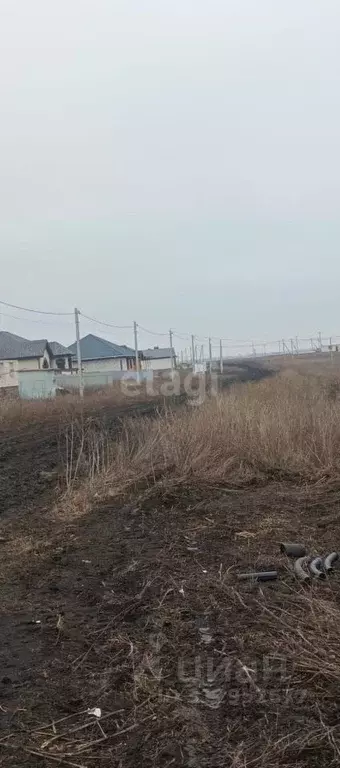 Участок в Белгородская область, Белгородский район, с. Стрелецкое 68 ... - Фото 1