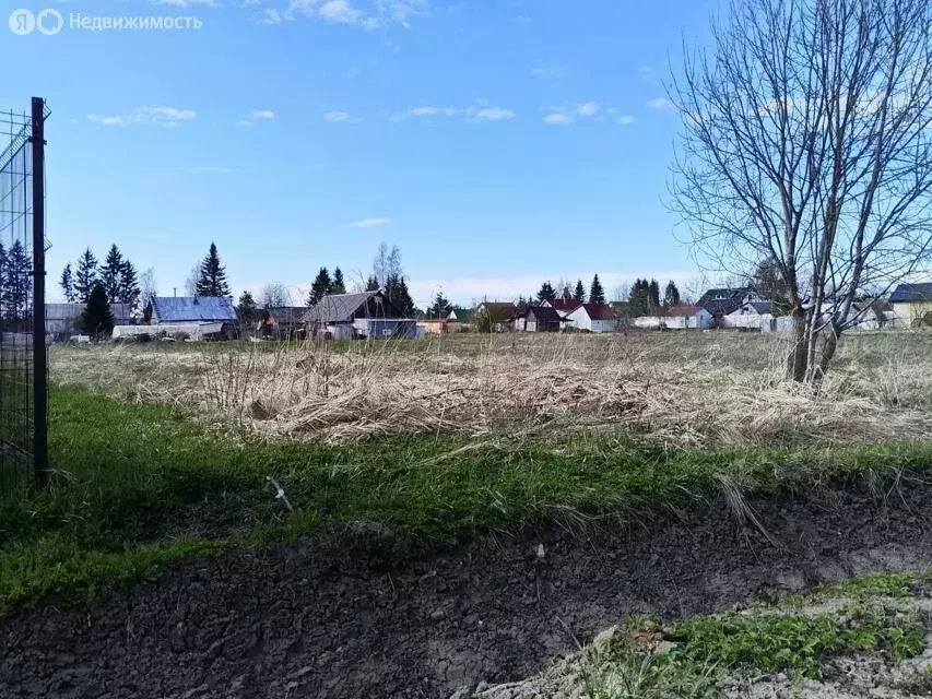 Участок в Лопухинское сельское поселение, деревня Новая Буря (15.4 м) - Фото 2