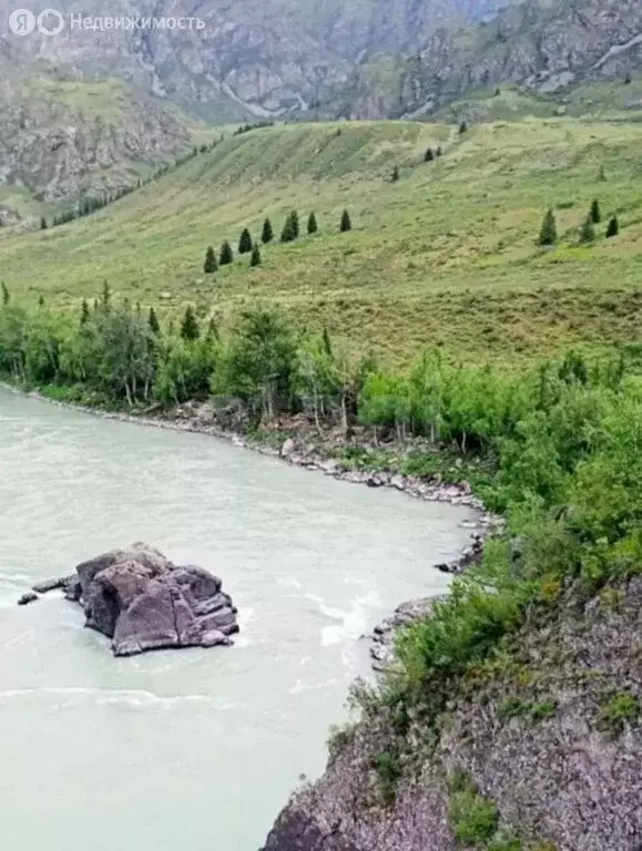 Участок в Онгудайский район, село Шашикман (158996 м) - Фото 2