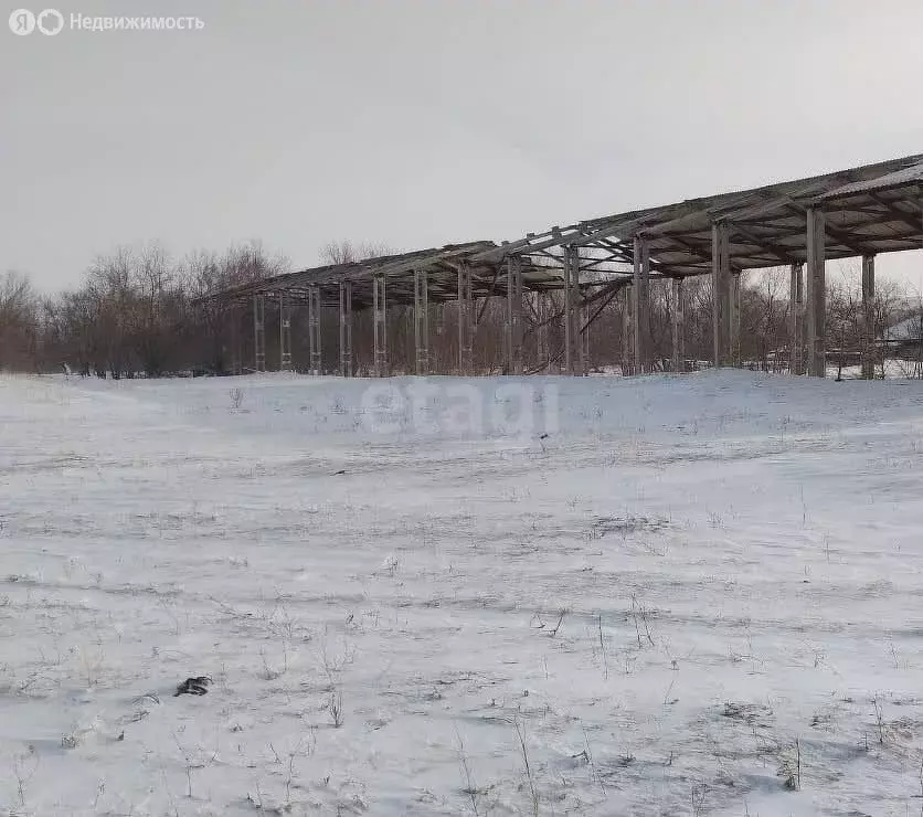 Участок в Рубцовский район, Куйбышевский сельсовет, посёлок Куйбышево ... - Фото 2