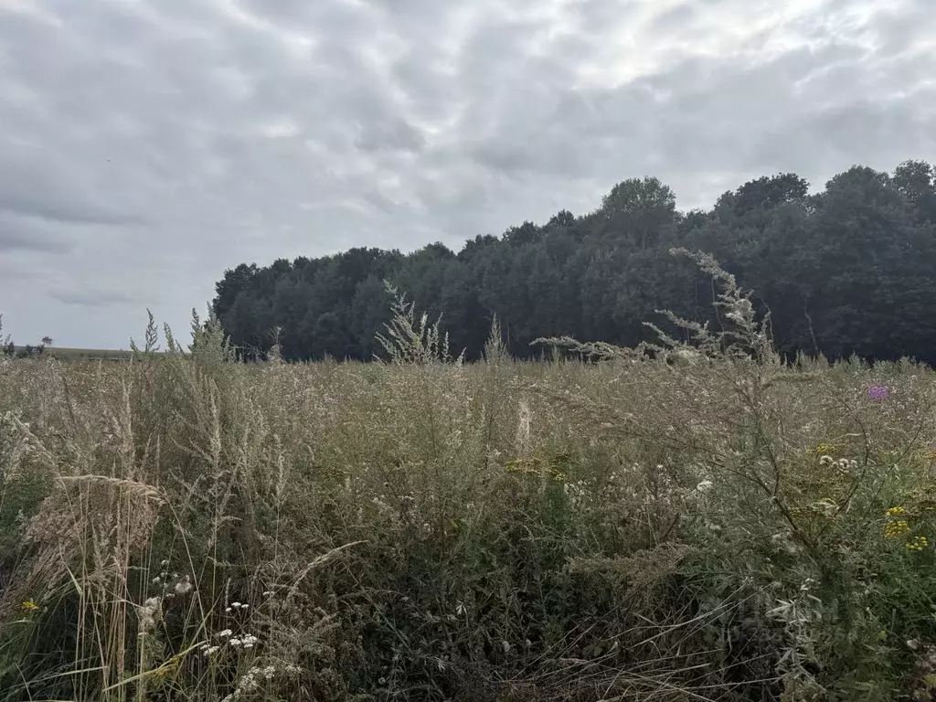 Участок в Московская область, Кашира городской округ, д. Яковское  ... - Фото 1