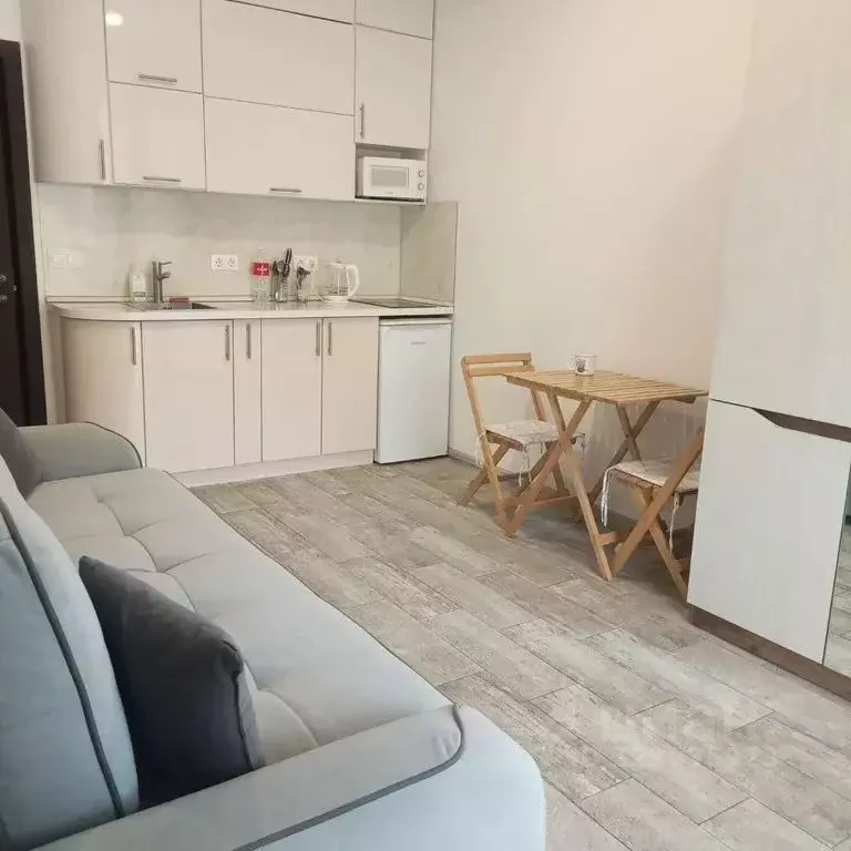 Студия Краснодарский край, Сочи ул. Аллея Челтенхема, 8/8 (24.0 м) - Фото 1