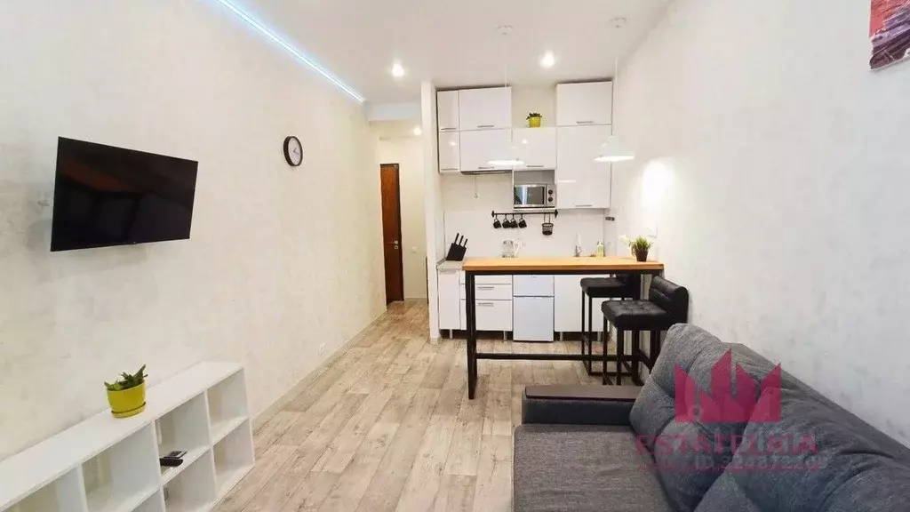 Студия Москва ул. Архитектора Щусева, 1 (24.0 м) - Фото 1