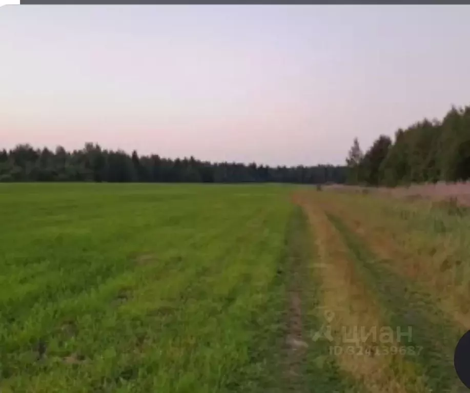 Участок в Московская область, Домодедово городской округ, д. Шишкино  ... - Фото 2