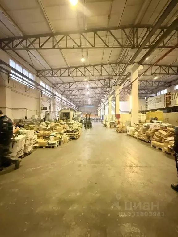 Помещение свободного назначения в Московская область, Ногинск ... - Фото 1