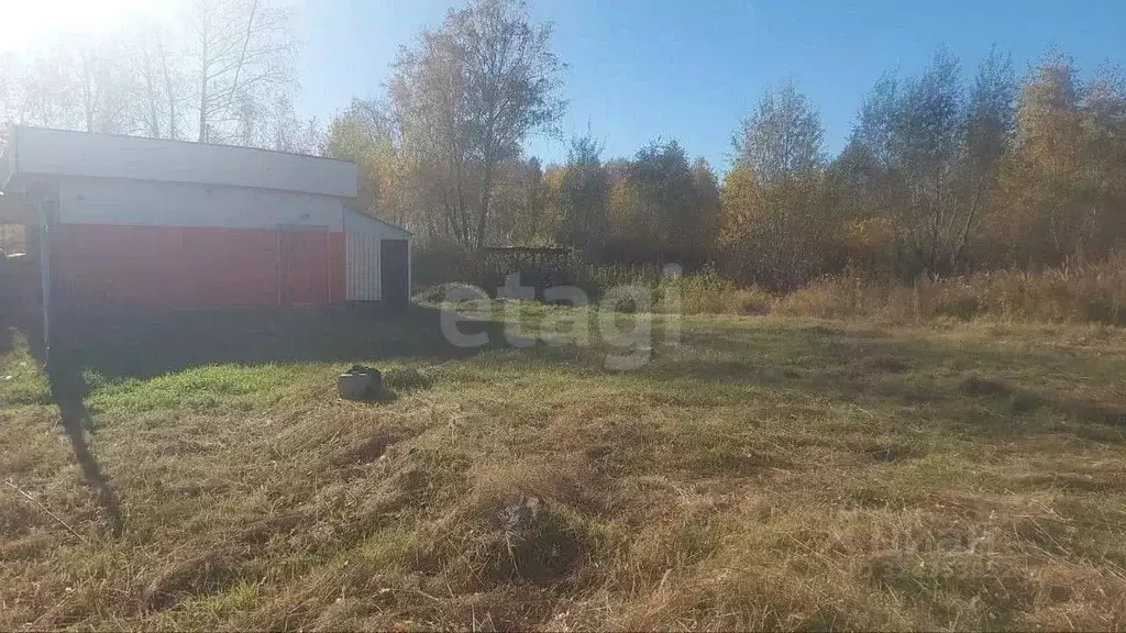 Помещение свободного назначения в Курганская область, Курган ул. ... - Фото 1