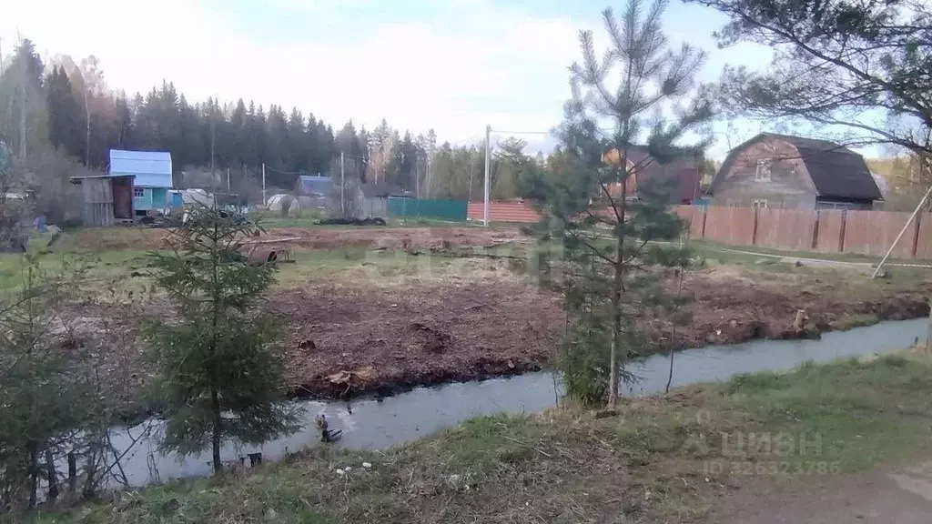 Участок в Ярославская область, Ярославский муниципальный округ, Молния ... - Фото 1