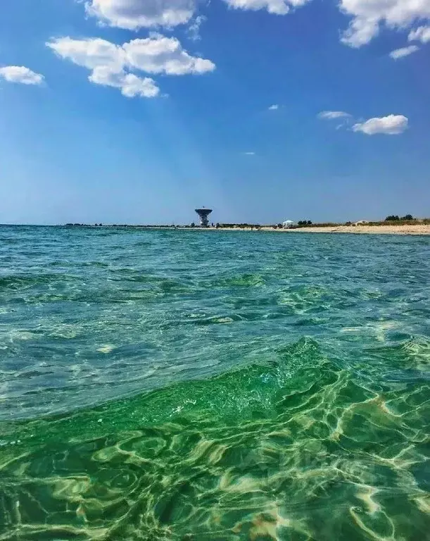 Участок в Крым, Сакский район, с. Молочное  (100.0 сот.) - Фото 1