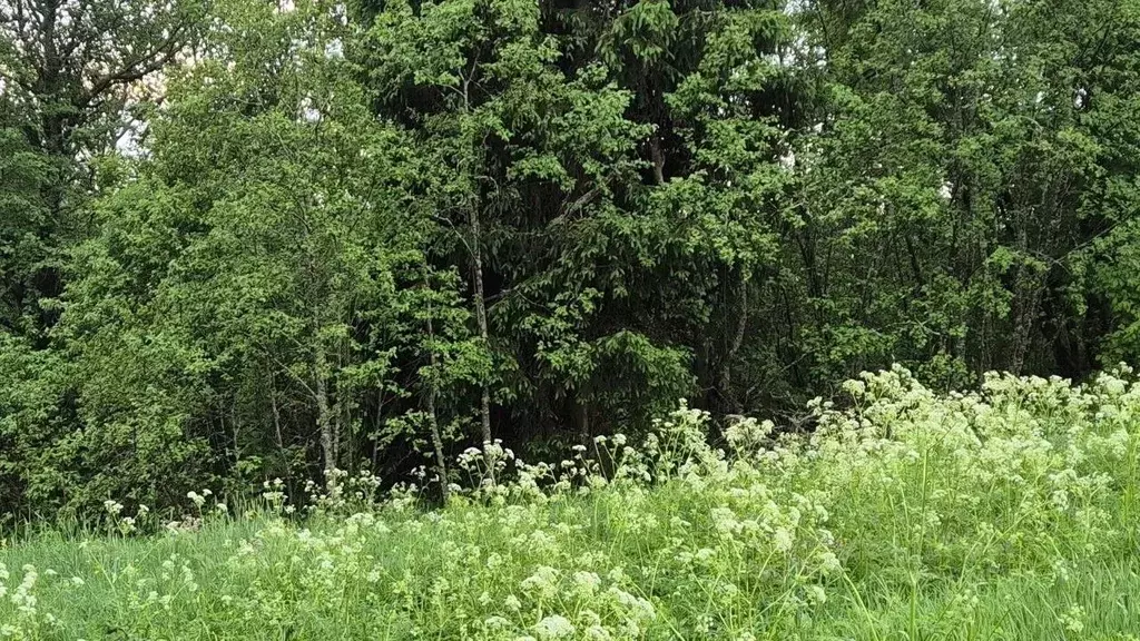 Участок в Московская область, Сергиево-Посадский городской округ, д. ... - Фото 0