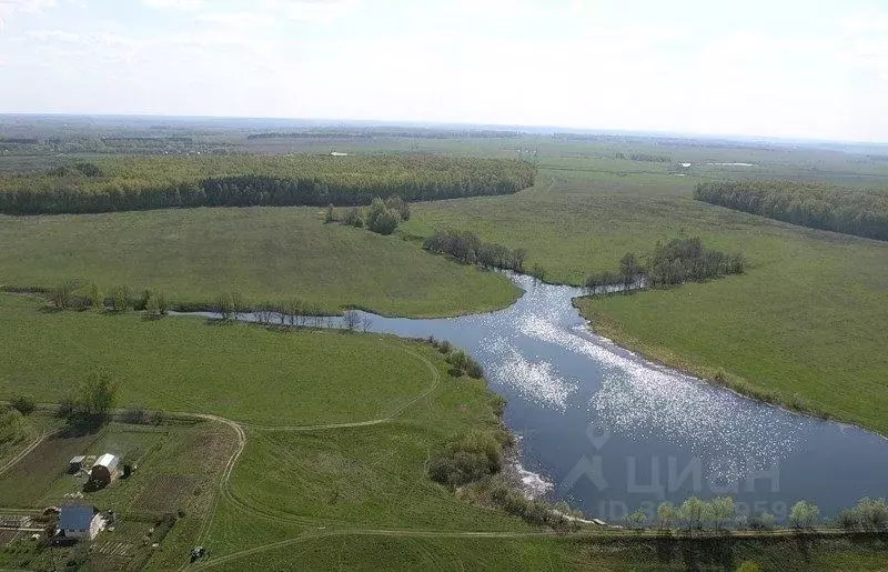 Участок в Московская область, Кашира городской округ, д. Руднево  (2.9 ... - Фото 1