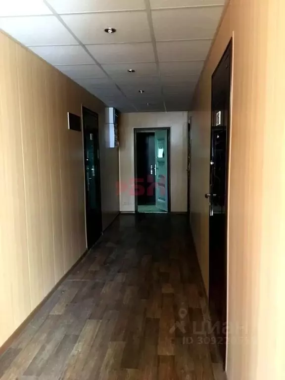 Офис в Курганская область, Курган ул. Коли Мяготина, 124А (114 м) - Фото 2