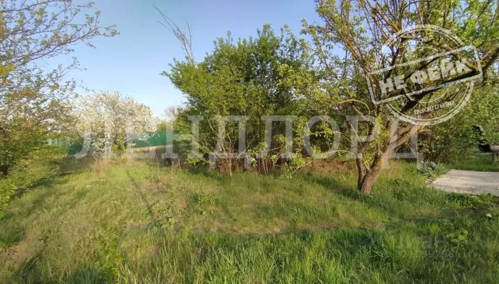 Участок в Ростовская область, Ростов-на-Дону Садовод-Любитель садовое ... - Фото 1