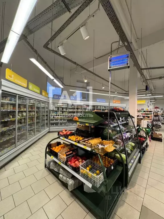 Торговая площадь в Челябинская область, Челябинск ул. ... - Фото 1