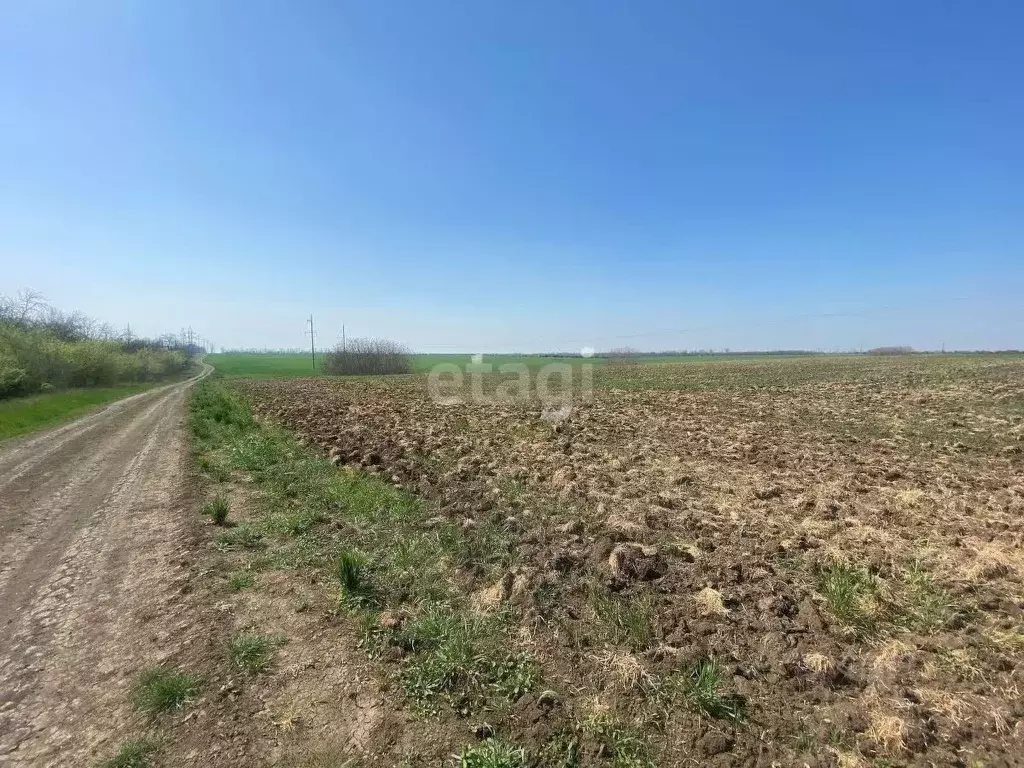 Участок в Краснодарский край, Ейск  (6.5 сот.) - Фото 1