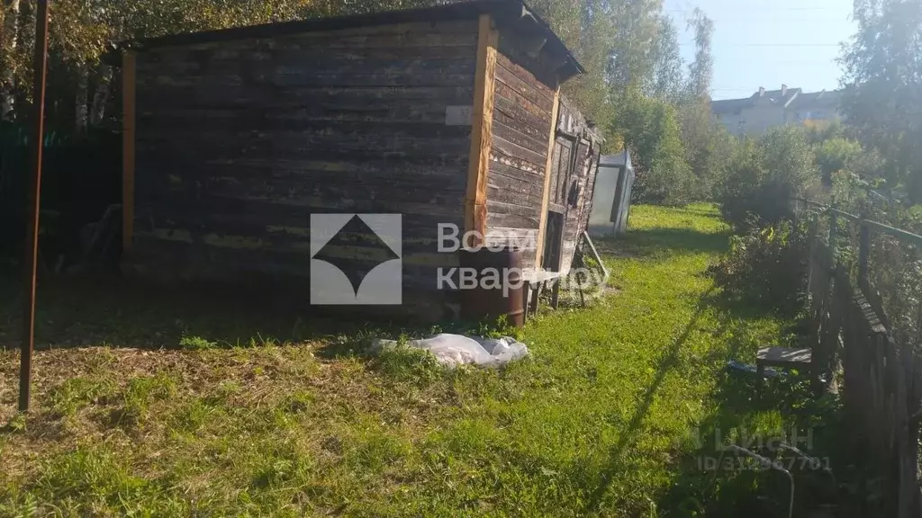 Участок в Новосибирская область, Новосибирск Почетный ветеран СНТ,  ... - Фото 1