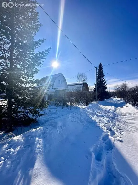 Дом в Хабаровский район, село Корсаково-2, Лесная улица (40 м) - Фото 0