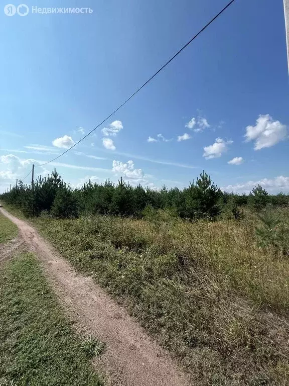 Участок в Бобинское сельское поселение, деревня Большие Раскопины (12 ... - Фото 2