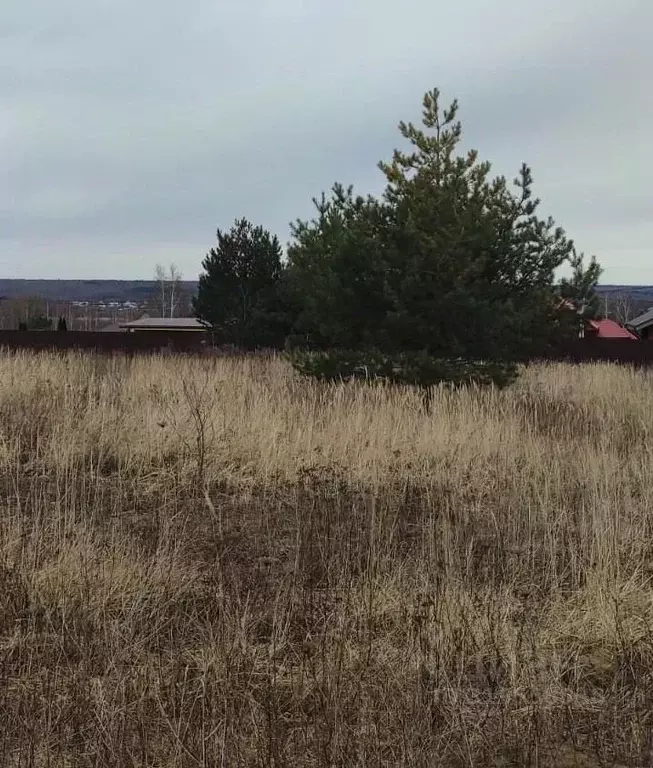 Участок в Московская область, Серпухов городской округ, д. Тульчино  ... - Фото 0