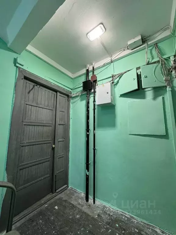 1-к кв. Московская область, Щелково городской округ, Фряново пгт ул. ... - Фото 2