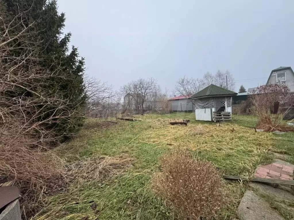 Участок в Калининградская область, Калининград Чайка СНТ, ул. ... - Фото 0