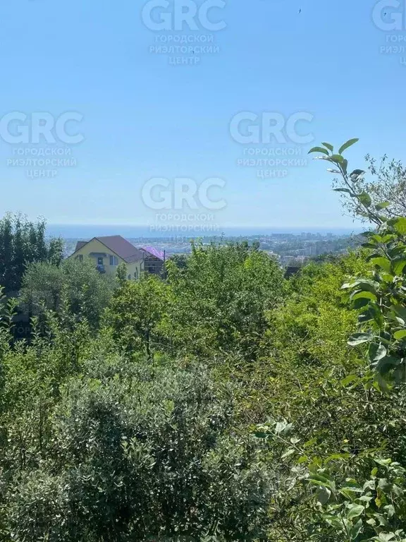 Участок в Краснодарский край, Сочи городской округ, с. Верхневеселое ... - Фото 0