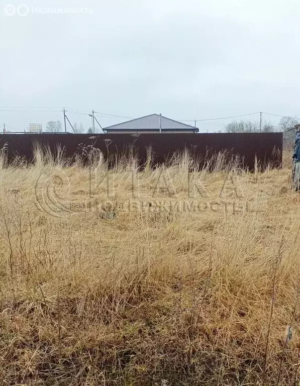 Участок в посёлок Кингисеппский, 1-я линия (4.11 м) - Фото 2