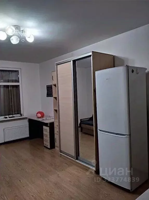 Студия Санкт-Петербург просп. Энергетиков, 9К1 (25.0 м) - Фото 2