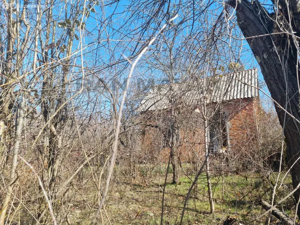 Участок в Майкоп, садово-дачное товарищество Восход (4 м) - Фото 1