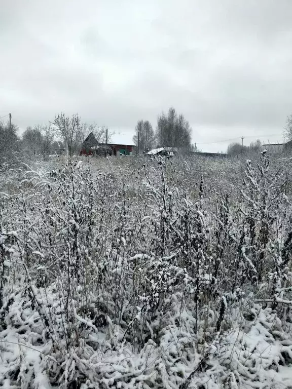 Участок в Московская область, Клин городской округ, д. Екатериновка  ... - Фото 0