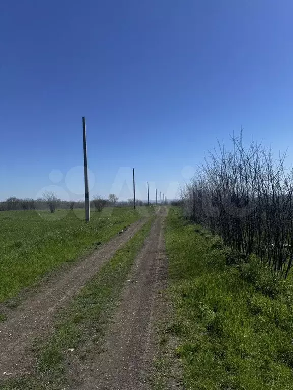 Участок 15 сот. (ИЖС) - Фото 1