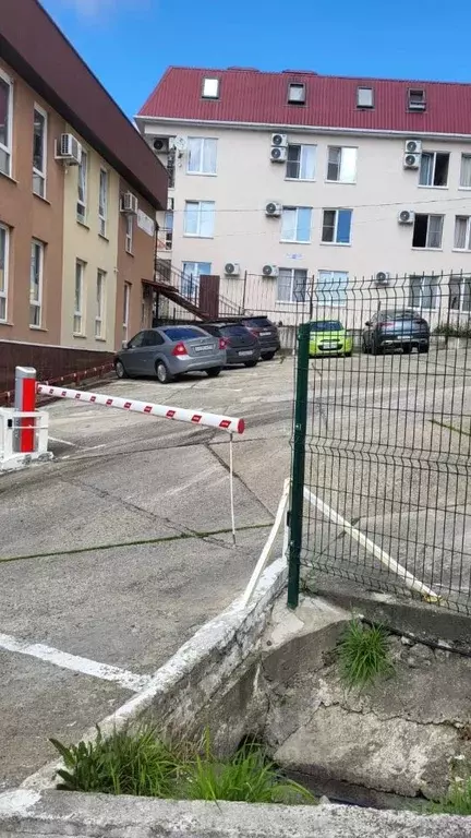 Помещение свободного назначения в Краснодарский край, Сочи ул. ... - Фото 2