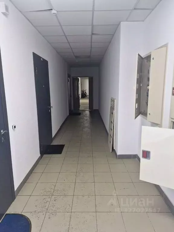 Студия Санкт-Петербург ул. Плесецкая, 10 (20.0 м) - Фото 2