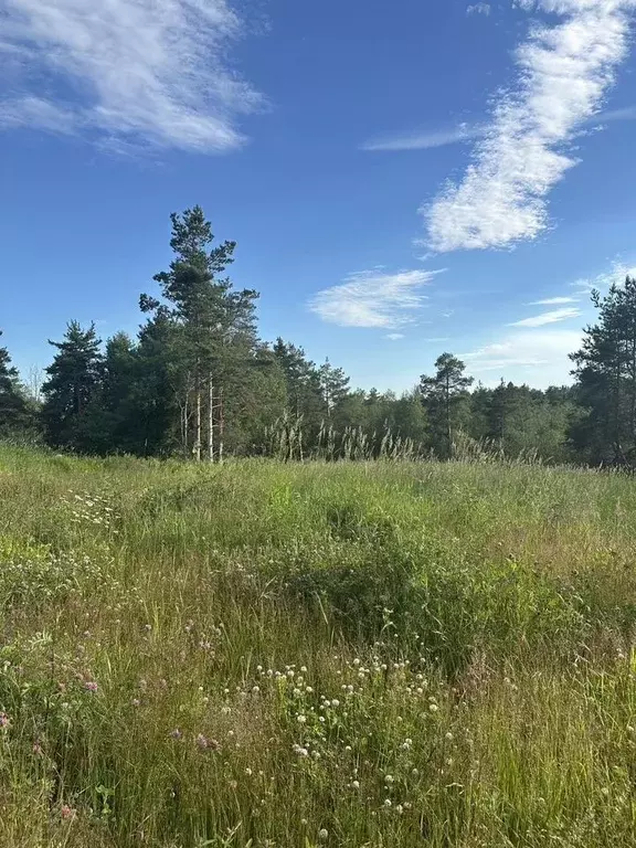 Участок в Ленинградская область, Выборгский район, Первомайское с/пос, ... - Фото 1