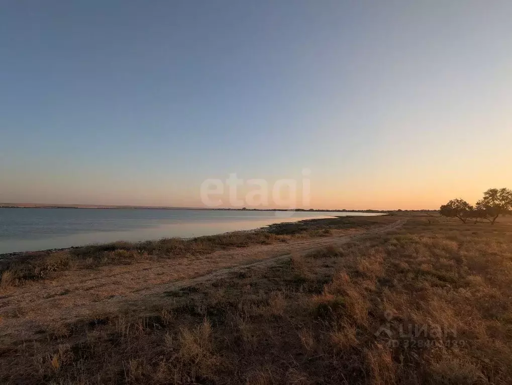 Участок в Крым, Черноморский район, с. Межводное  (4.0 сот.) - Фото 1