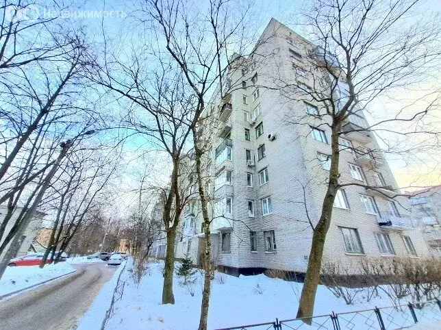 1-комнатная квартира: Санкт-Петербург, Дачный проспект, 14к1 (33.5 м) - Фото 2