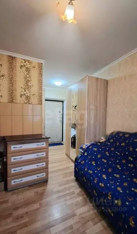 Студия Калининградская область, Гурьевский муниципальный округ, пос. ... - Фото 1