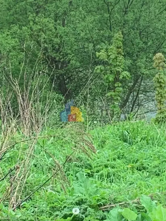 Участок в Тульская область, Тула городской округ, с. Алешня ул. ... - Фото 1